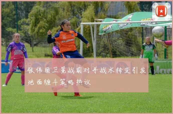 张伟丽卫冕战前对手战术转变引发地面缠斗策略热议